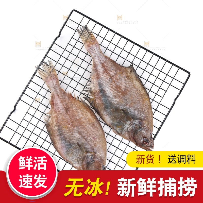 白底上的鲽鱼