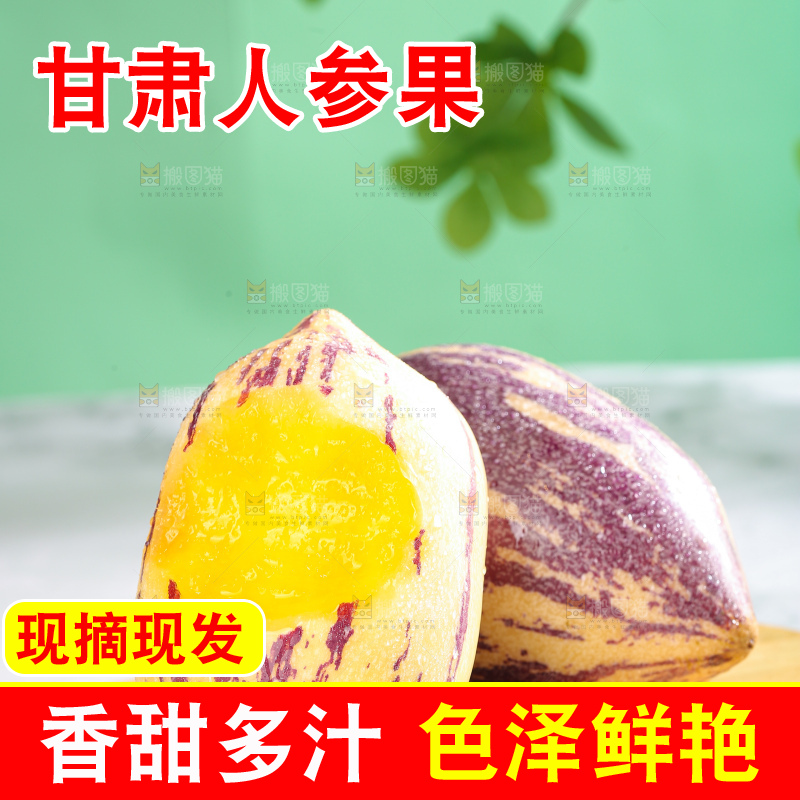 浅底上的民勤人参果