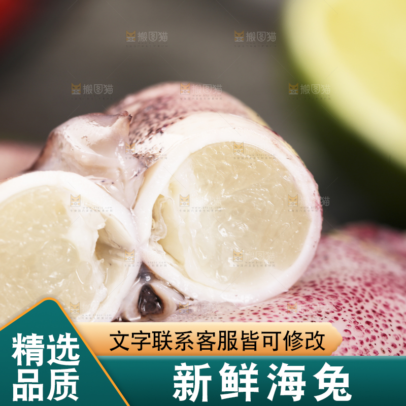 深底上的海兔
