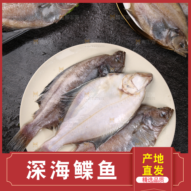 深底上的鲽鱼
