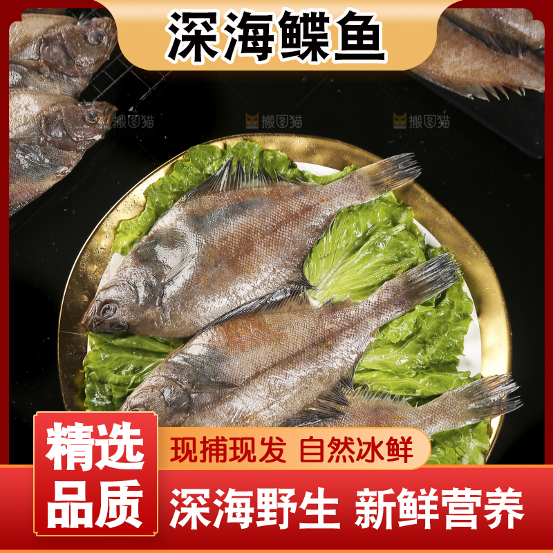 深底上的鲽鱼