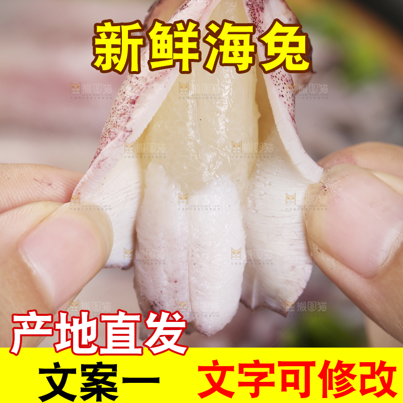 深底上的海兔