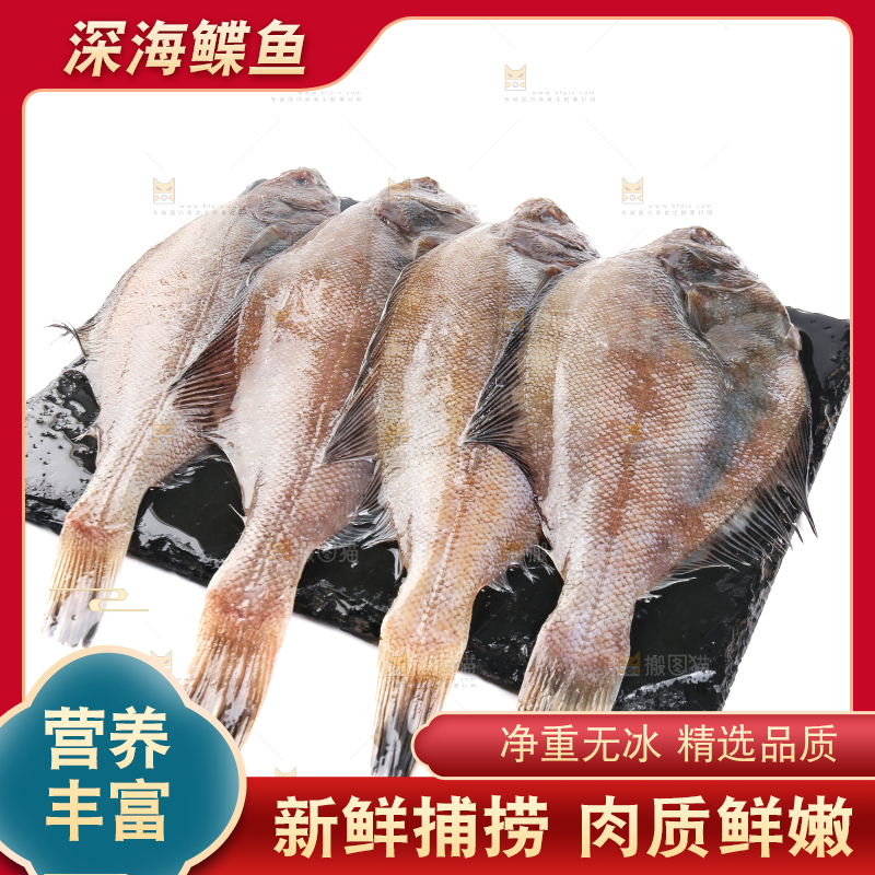 白底上的鲽鱼