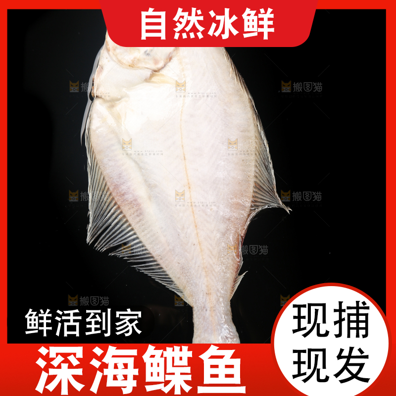 深底上的鲽鱼