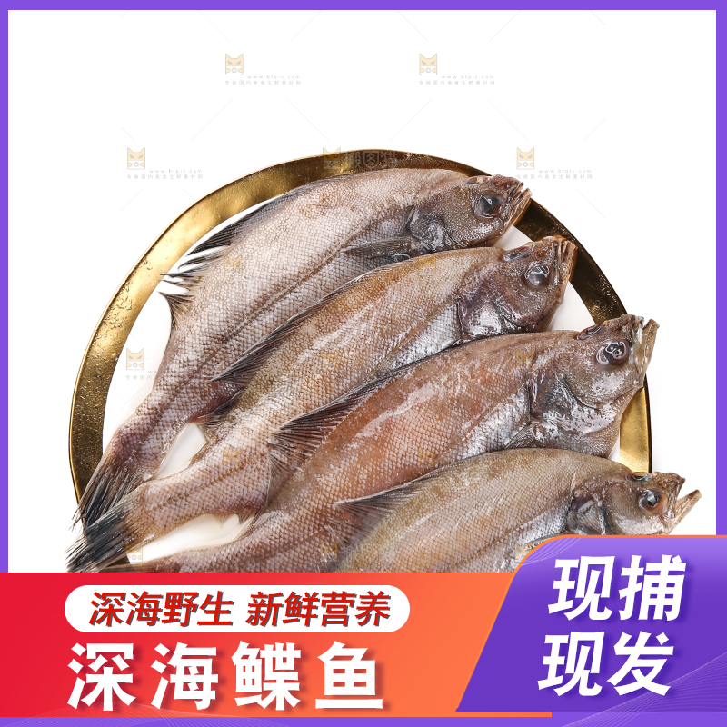 白底上的鲽鱼