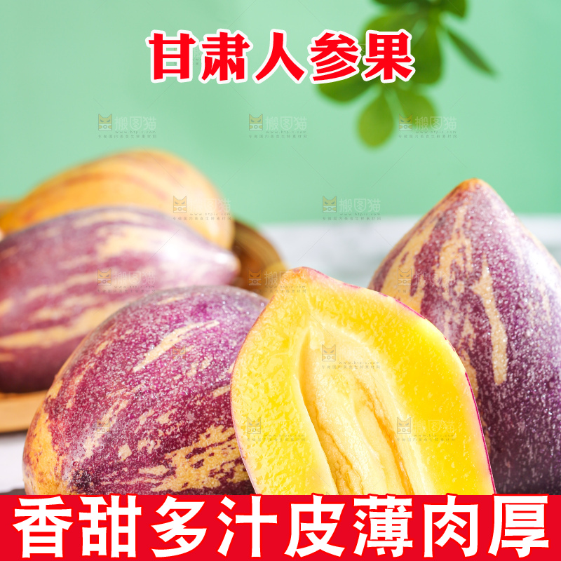 浅底上的民勤人参果