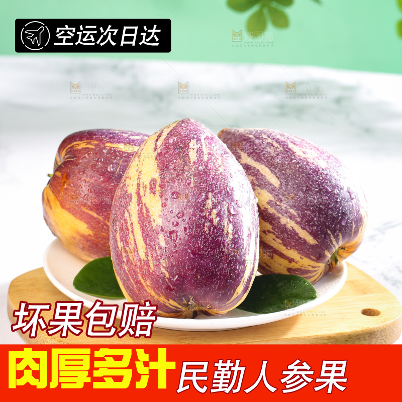 浅底上的民勤人参果