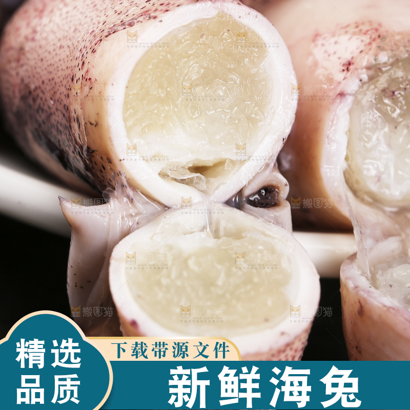 深底上的海兔