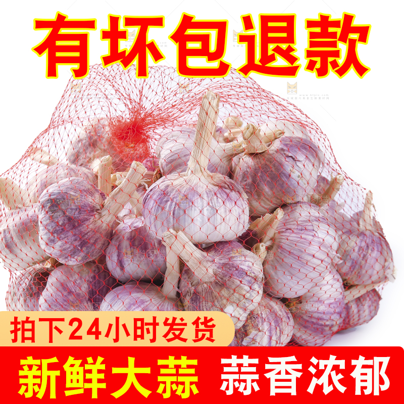 白底上的紫皮干大蒜
