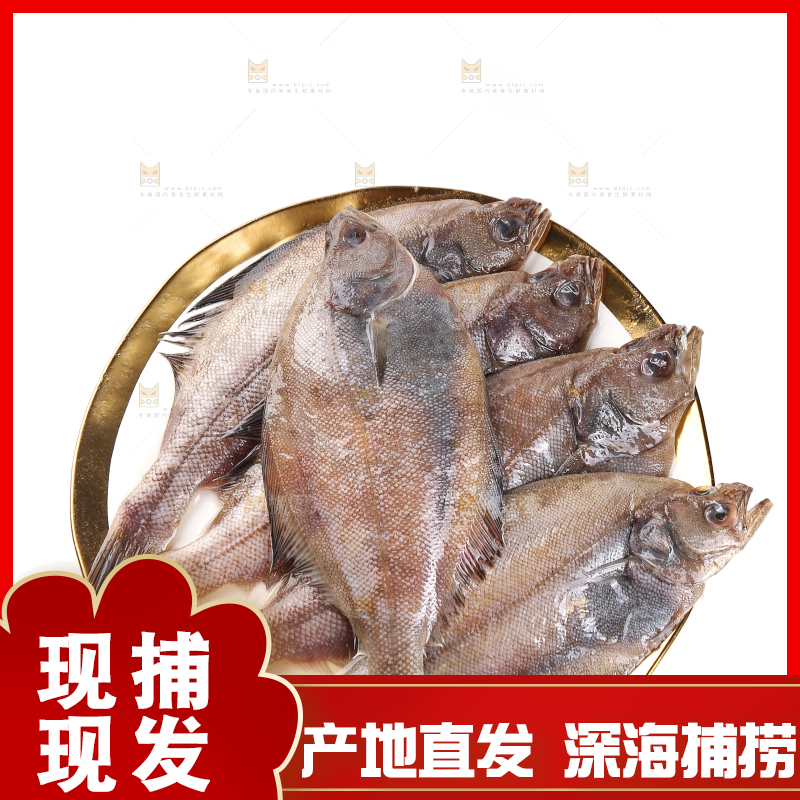 白底上的鲽鱼