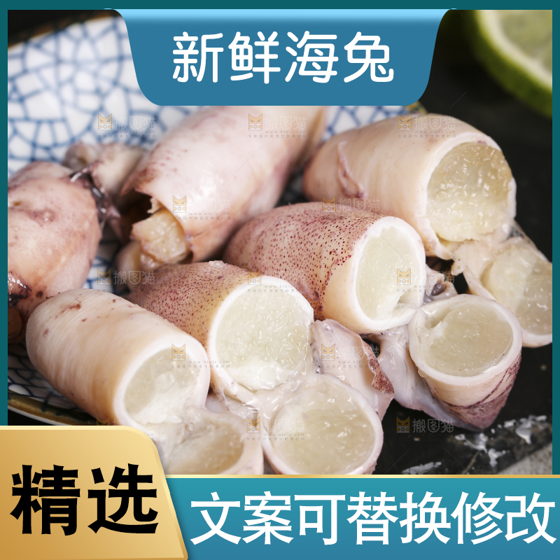 深底上的海兔