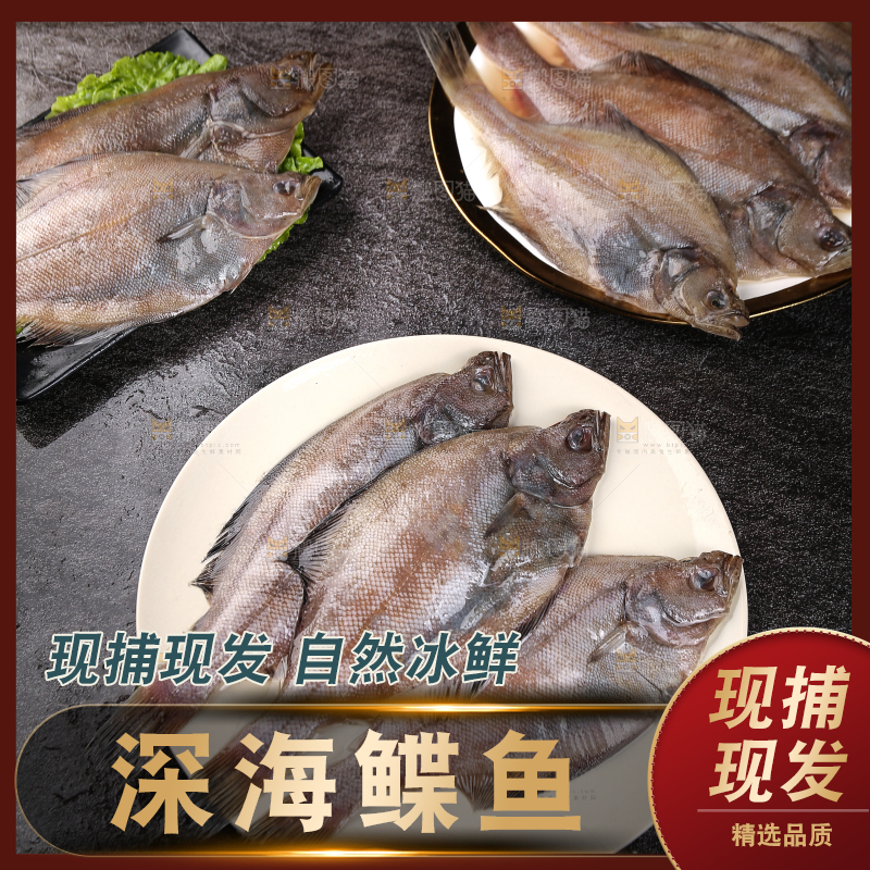 深底上的鲽鱼