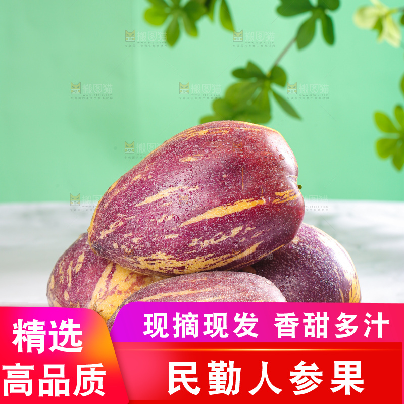 浅底上的民勤人参果