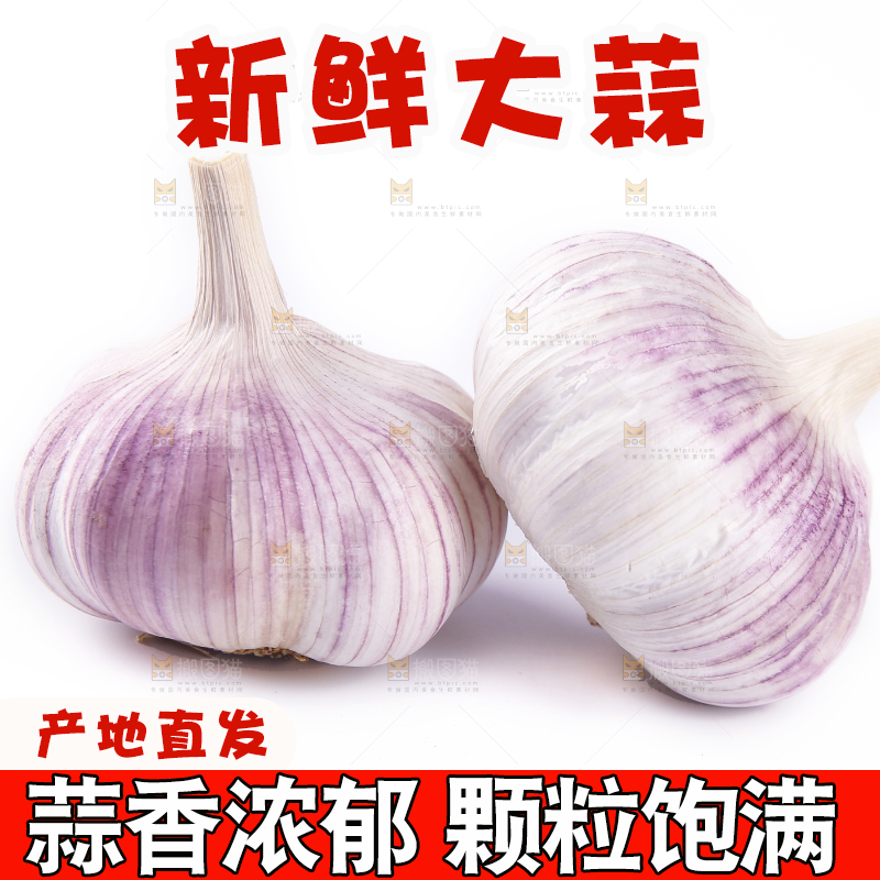 白底上的紫皮干大蒜
