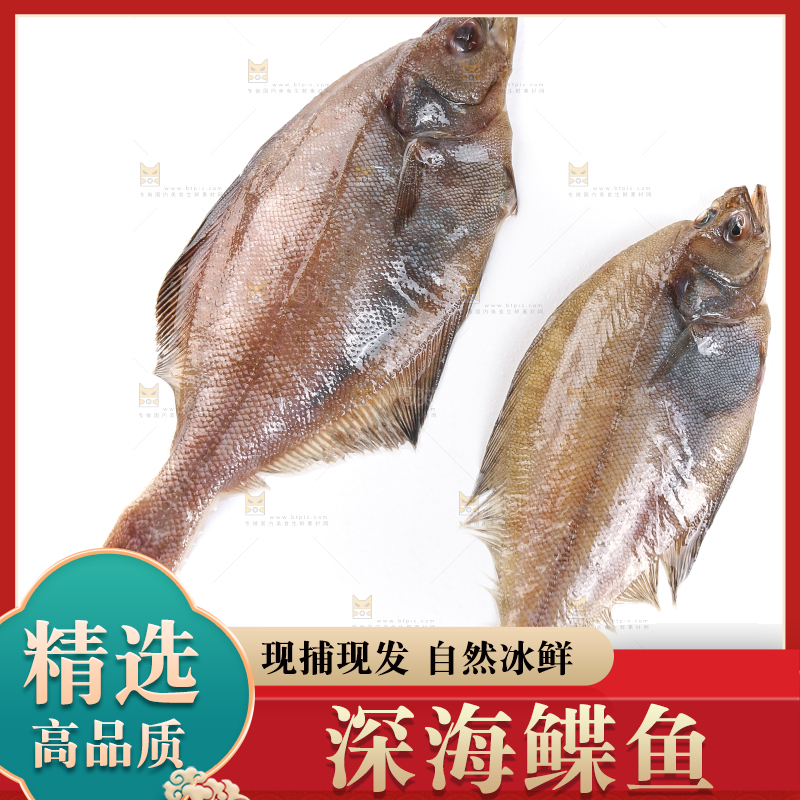 白底上的鲽鱼