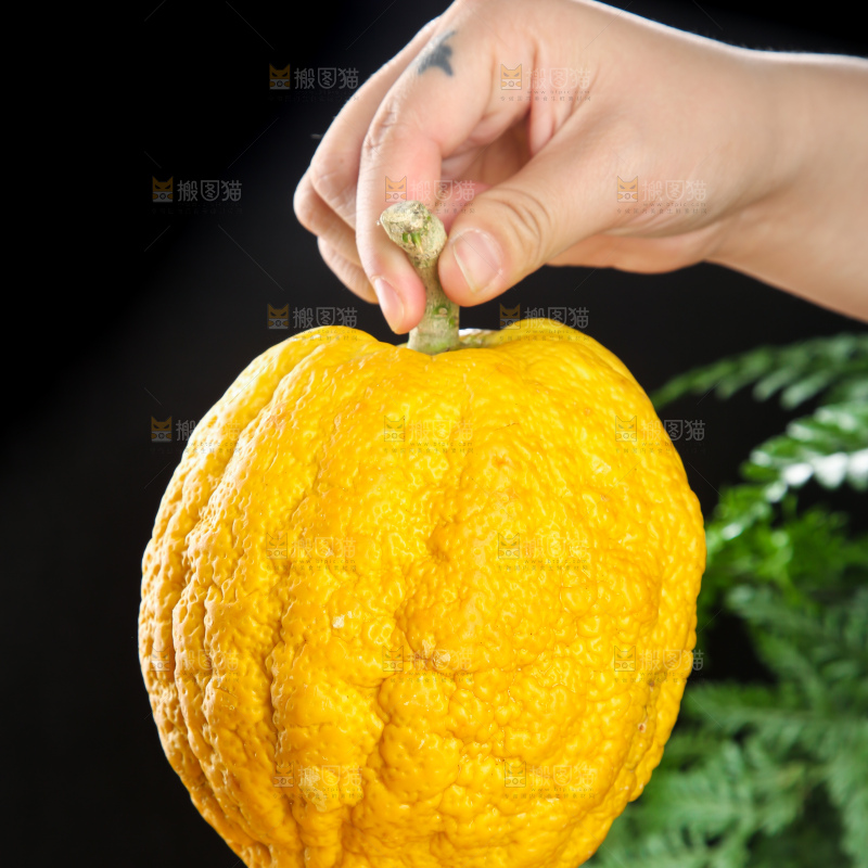 深底上的香橼果