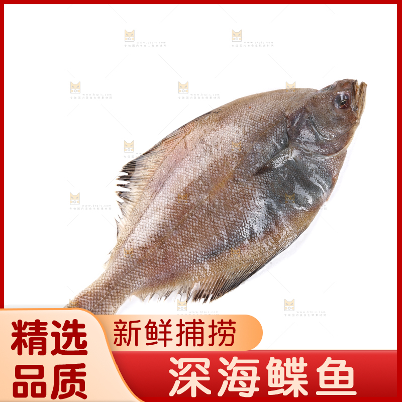 白底上的鲽鱼