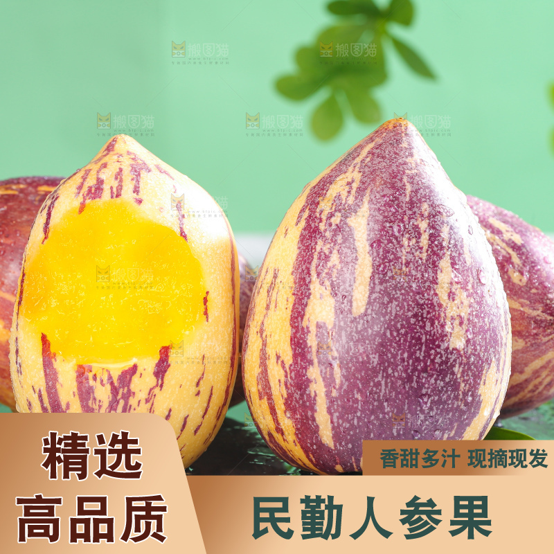 浅底上的民勤人参果