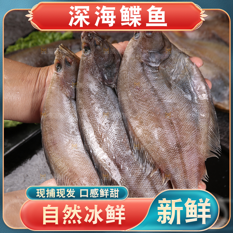 深底上的鲽鱼