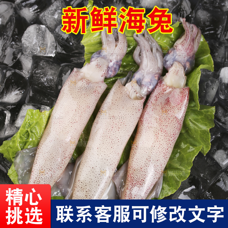 深底上的海兔
