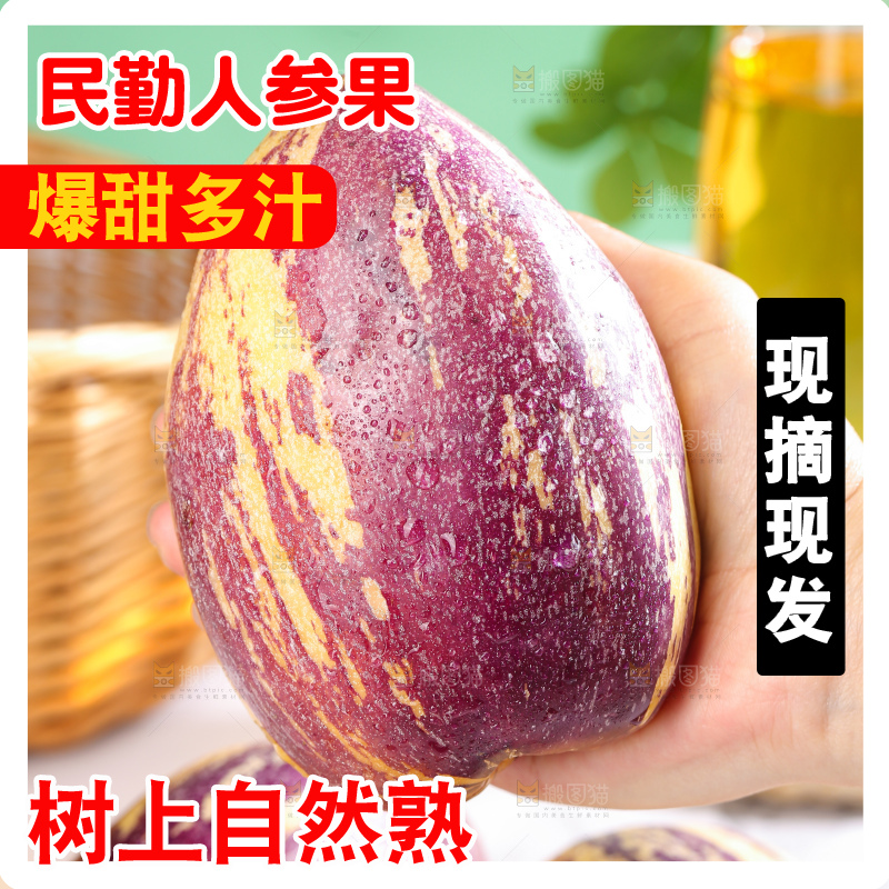 浅底上的民勤人参果