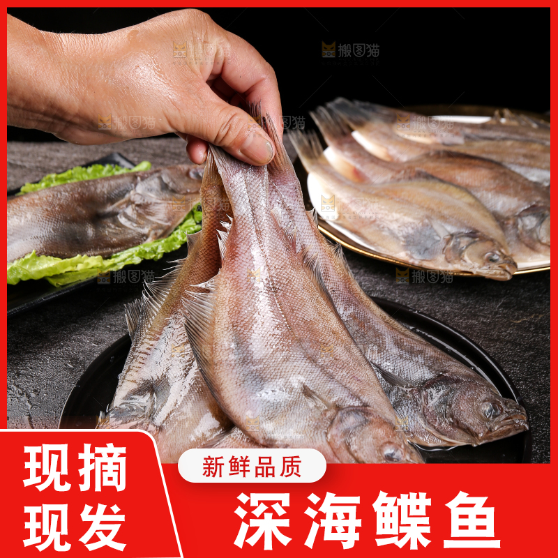 深底上的鲽鱼