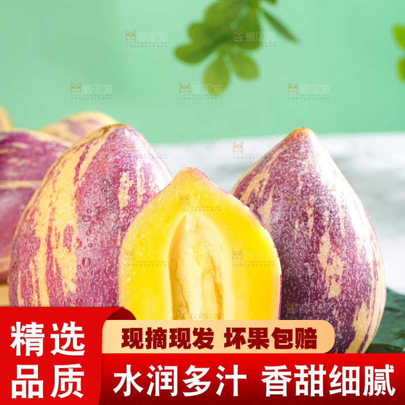 浅底上的民勤人参果