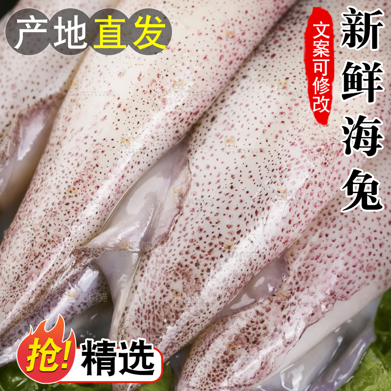 深底上的海兔