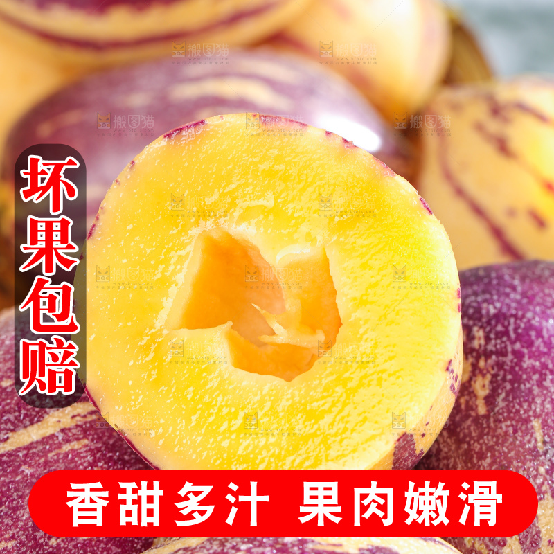浅底上的民勤人参果