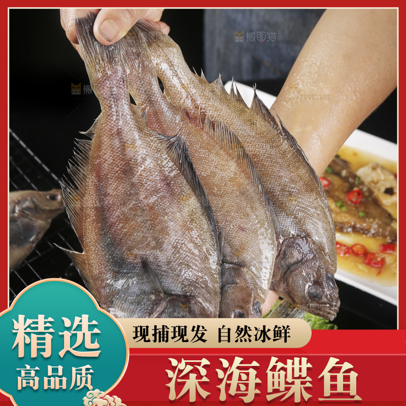 深底上的鲽鱼