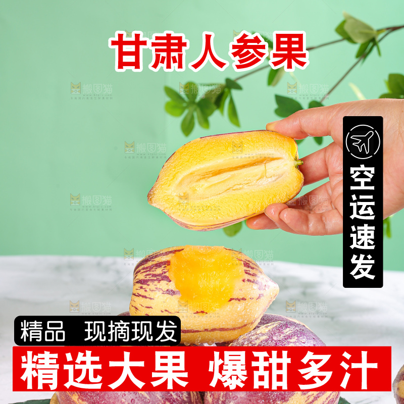 浅底上的民勤人参果