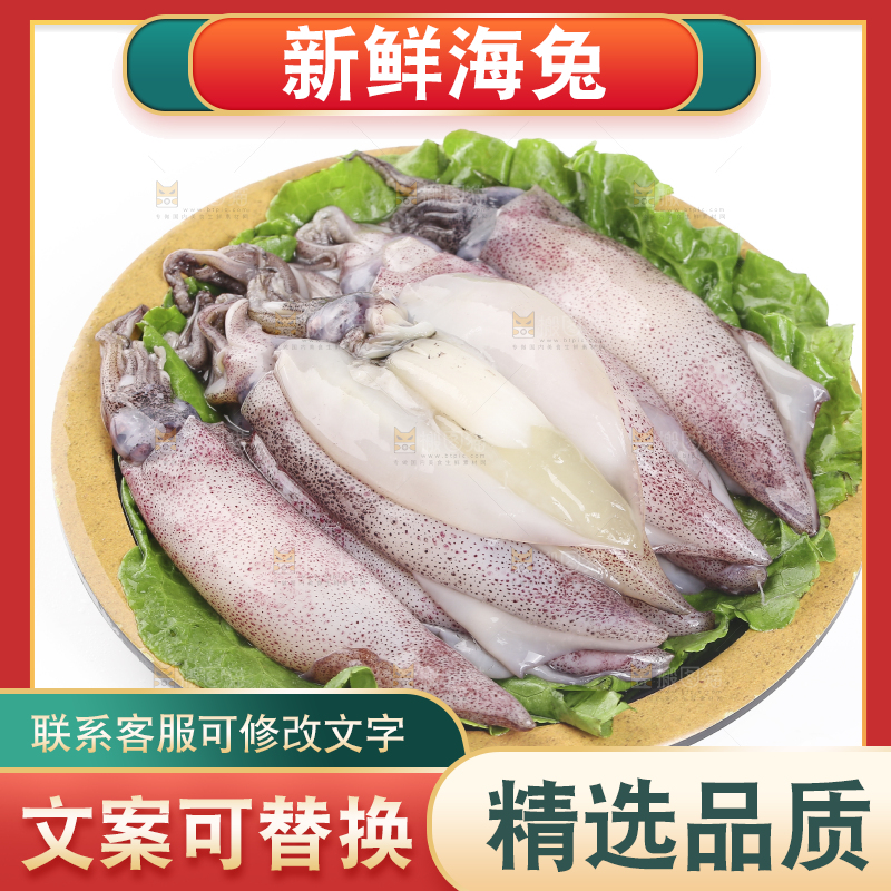白底上的海兔