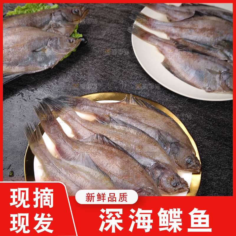 深底上的鲽鱼