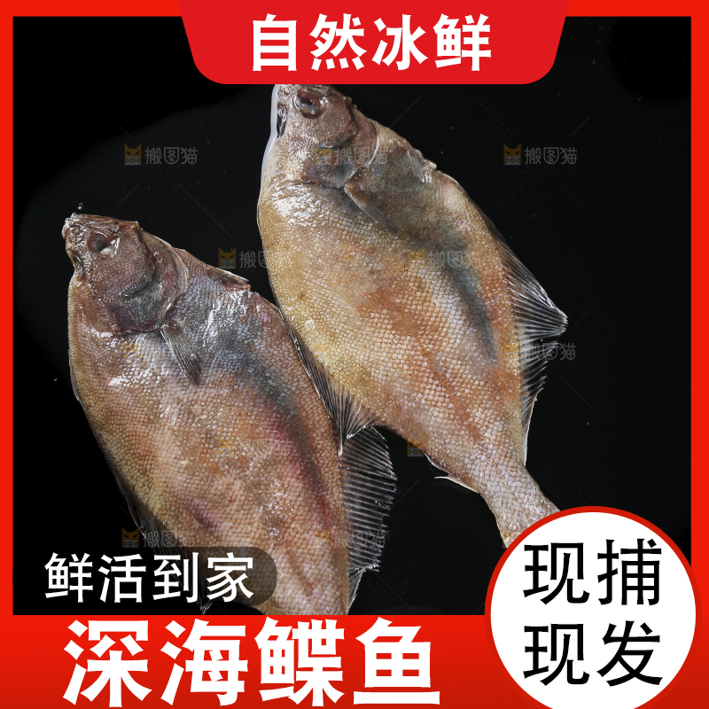 深底上的鲽鱼