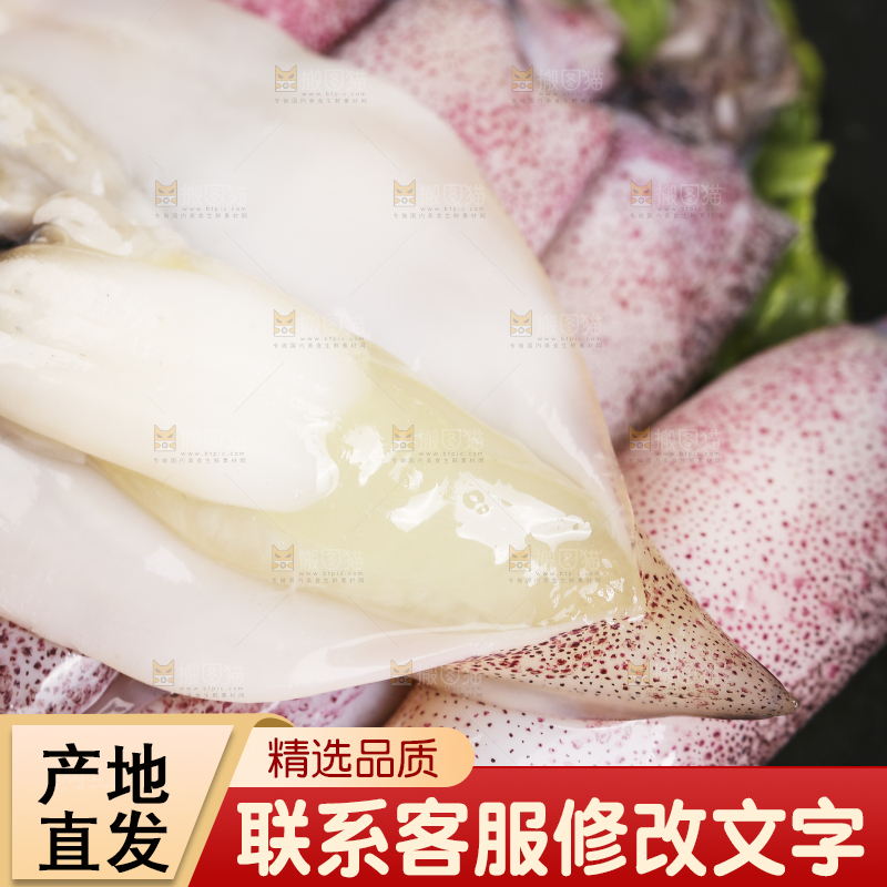 深底上的海兔
