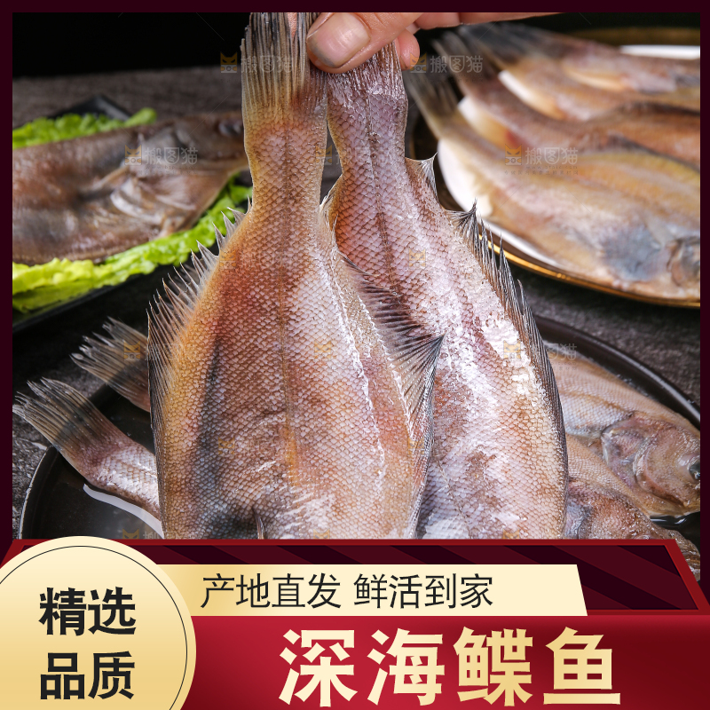 深底上的鲽鱼