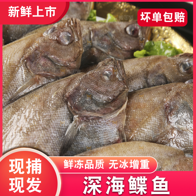 深底上的鲽鱼