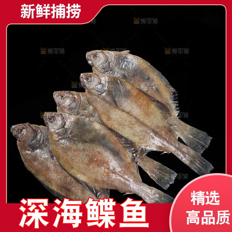 深底上的鲽鱼