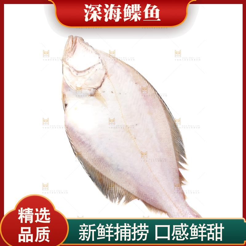 白底上的鲽鱼