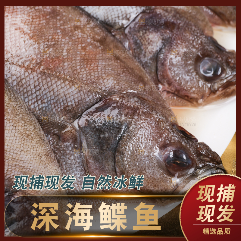 深底上的鲽鱼