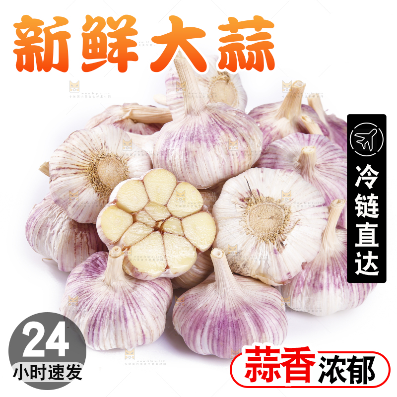 白底上的紫皮干大蒜