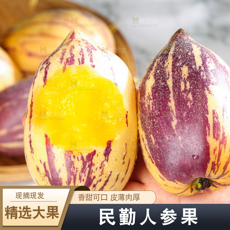 浅底上的民勤人参果