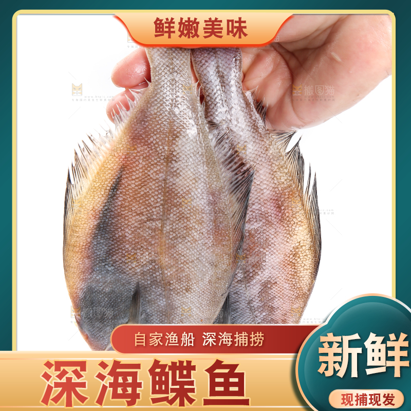 白底上的鲽鱼