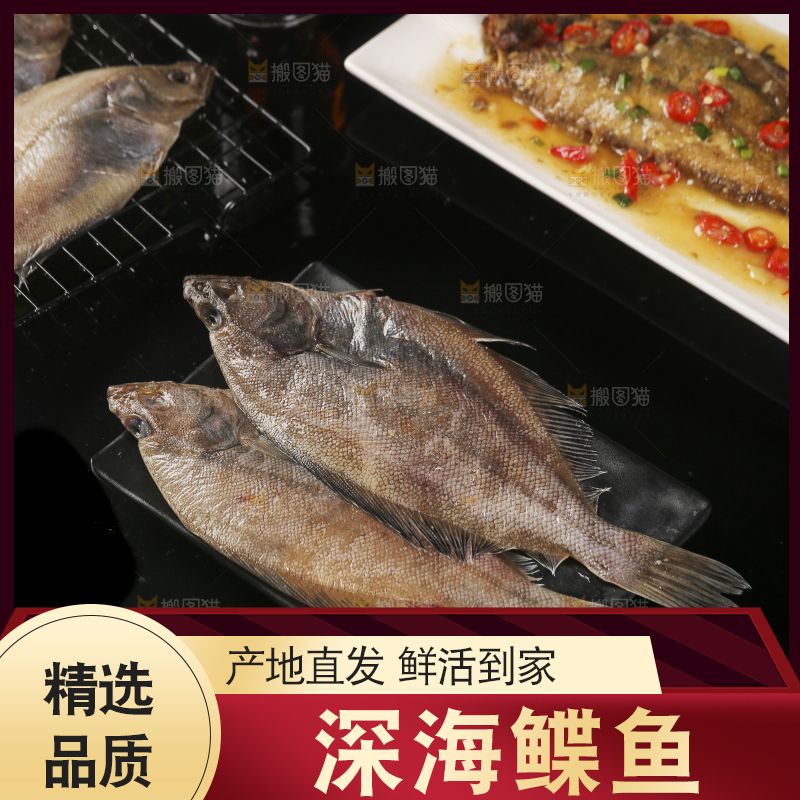 深底上的鲽鱼