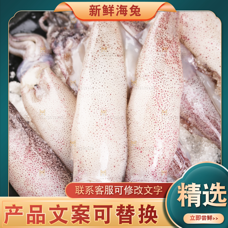 深底上的海兔