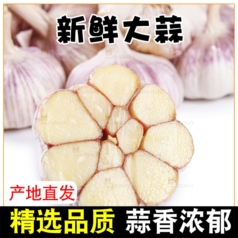 白底上的紫皮干大蒜