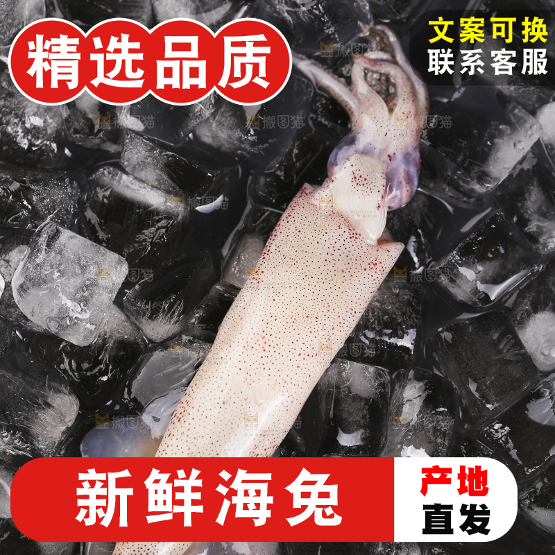 深底上的海兔