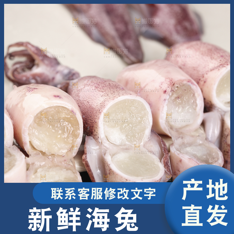 深底上的海兔