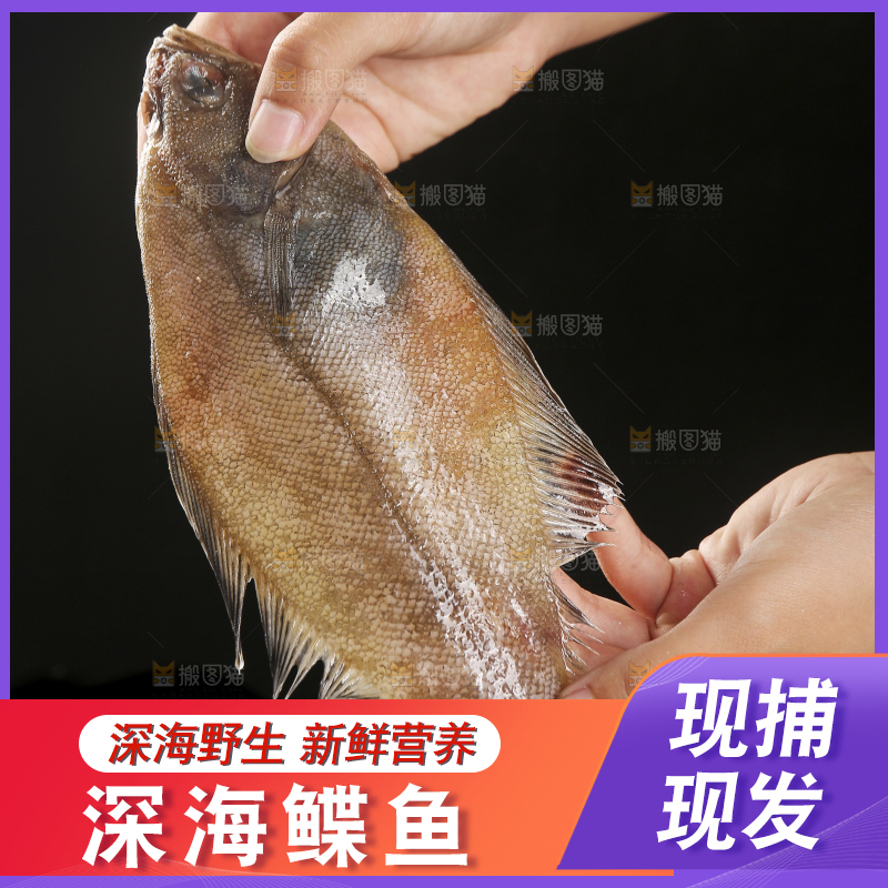 深底上的鲽鱼