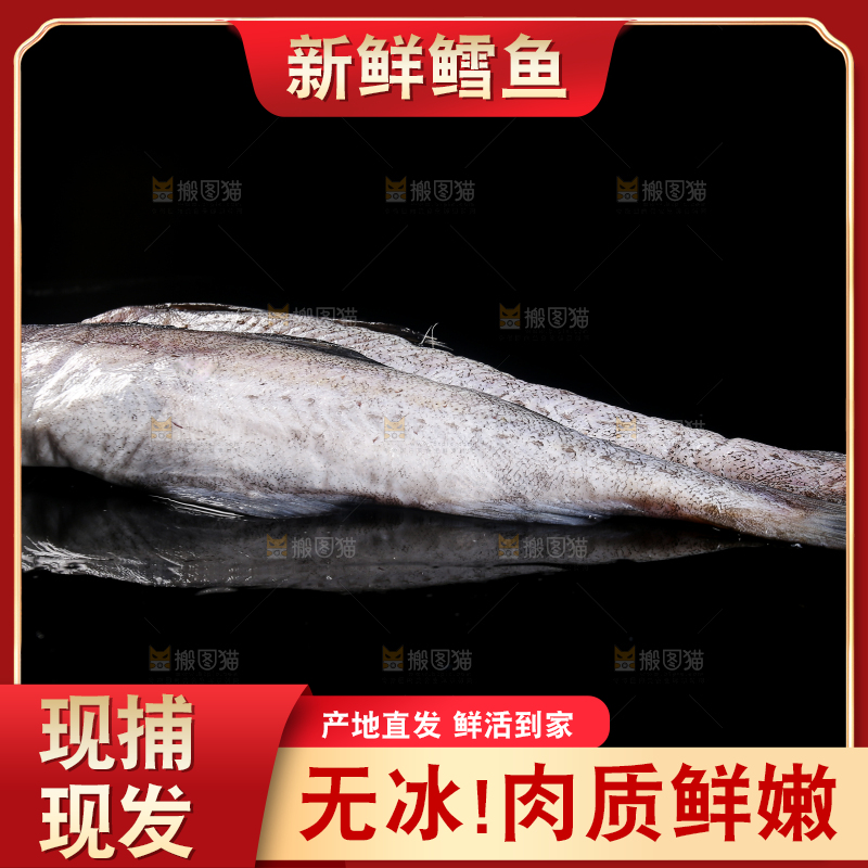 深底上的鳕鱼